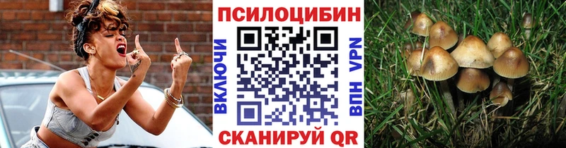 Псилоцибиновые грибы мухоморы  магазин продажи   Белорецк 
